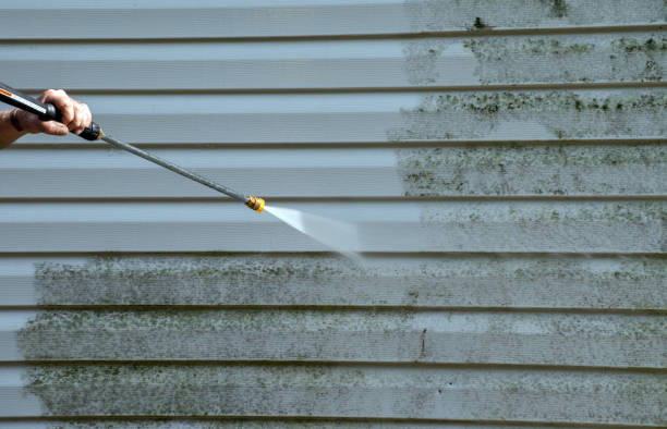 Best Residential House Exterior Washing  in South Hutchinson, KS